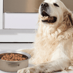 Saladmaster Pet Bowl