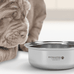Saladmaster Pet Bowl