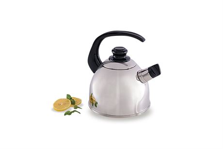 saladmaster-stovetop-kettle
